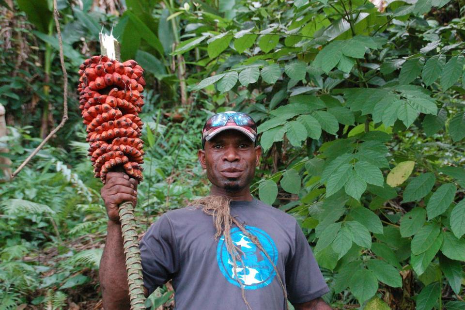 Man holding a bunch of red bananas