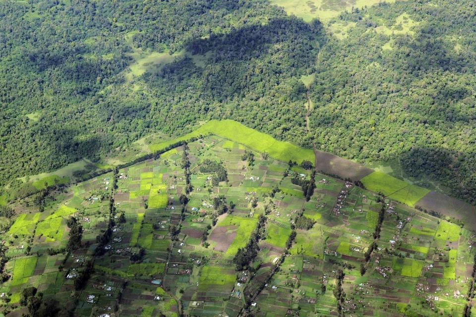 View of farmland and forest in rural Kenya