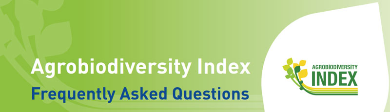 faqs